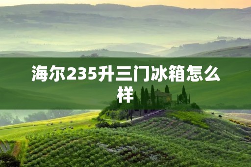 海尔235升三门冰箱怎么样：品质与智能并存，为你带来卓越的冷藏体验