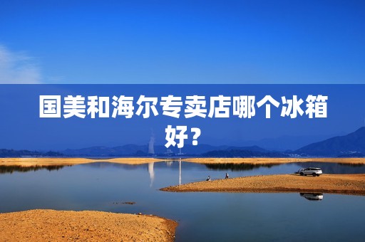 国美和海尔专卖店哪个冰箱好？