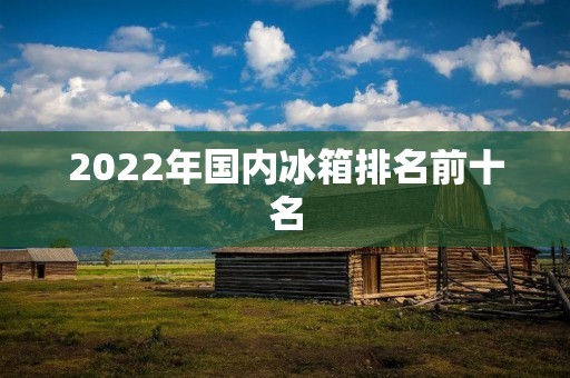 2022年国内冰箱排名前十名：全面解析国内顶尖冰箱品牌与产品