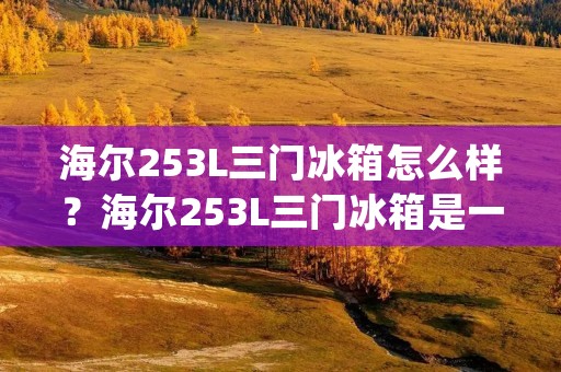 海尔253L三门冰箱怎么样？海尔253L三门冰箱是一款家用电器产品，具有出色的性能和功能。它采用了先进的技术，提供了出色的冷藏和冷冻功能，以及方便的使用体验。本文将详细描述海尔253L三门冰箱的特点和优势，让您对该产品有更全面的了解。