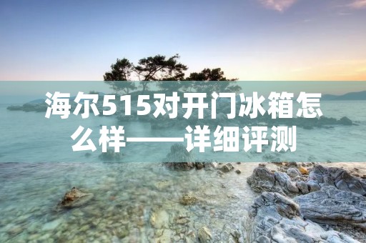 海尔515对开门冰箱怎么样——详细评测