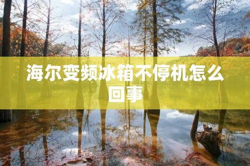 海尔变频冰箱不停机怎么回事：详细解析