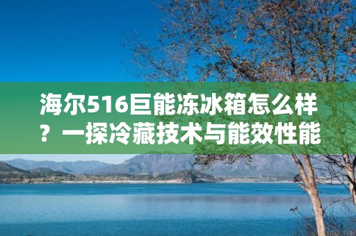 海尔516巨能冻冰箱怎么样？一探冷藏技术与能效性能的优势