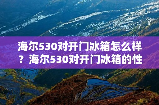 海尔530对开门冰箱怎么样?海尔530对开门冰箱的性能、功能和用户体验如何? 海尔530对开门冰箱怎么样?海尔530对开门冰箱的性能、功能和用户体验如何?