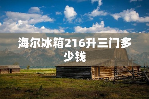 海尔冰箱216升三门多少钱：详细描述