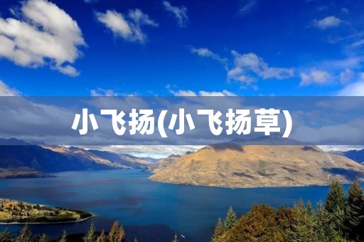 小飞扬(小飞扬草)