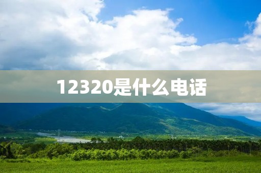 12320是什么**
