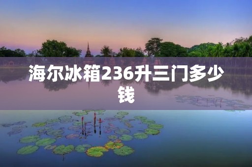 海尔冰箱236升三门多少钱