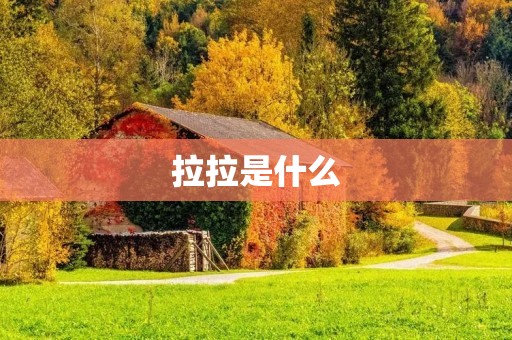拉拉是什么 拉拉是什么