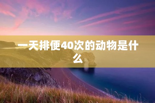 一天排便40次的动物是什么 一天排便40次的动物是什么