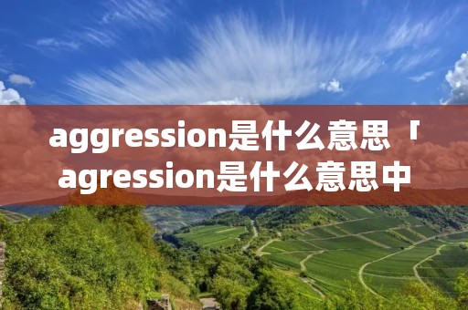 aggression是什么意思「agression是什么意思中文」