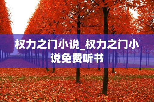 权力之门小说_权力之门小说免费听书