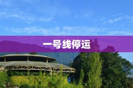 一号线停运:城市交通瘫痪的背后故事 一号线停运:城市交通瘫痪的背后故事