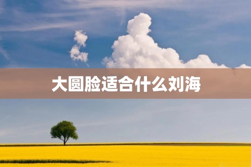 大圆脸适合什么刘海