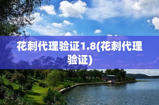 花刺代理验证1.8(花刺代理验证)