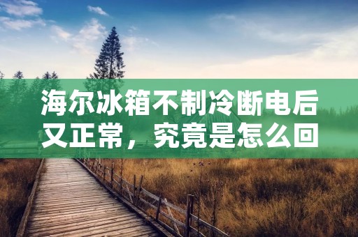 海尔冰箱不制冷断电后又正常，究竟是怎么回事？