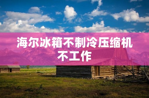 海尔冰箱不制冷压缩机不工作:如何解决这一常见问题 海尔冰箱不制冷压缩机不工作:如何解决这一常见问题