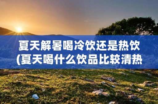 夏天解暑喝冷饮还是热饮(夏天喝什么饮品比较清热解暑)