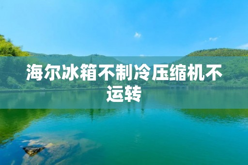 海尔冰箱不制冷压缩机不运转:原因分析及解决方法 海尔冰箱不制冷压缩机不运转:原因分析及解决方法