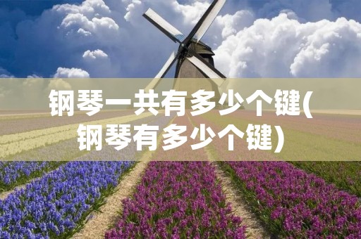 钢琴一共有多少个键(钢琴有多少个键)