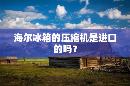 海尔冰箱的压缩机是进口的吗？