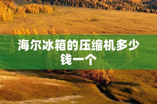 海尔冰箱的压缩机多少钱一个
