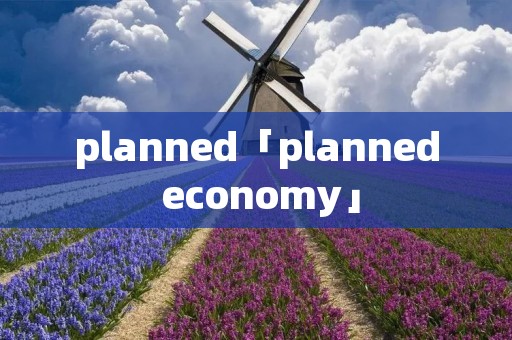 planned「planned economy」
