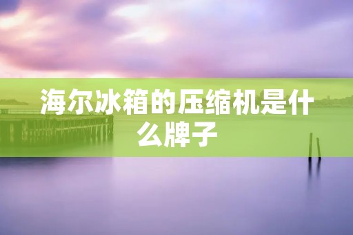 海尔冰箱的压缩机是什么牌子