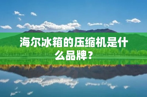 海尔冰箱的压缩机是什么品牌？