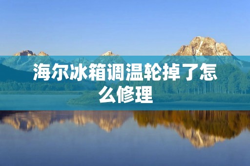 海尔冰箱调温轮掉了怎么修理