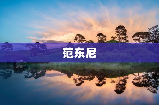 范东尼：探索音乐世界的瑞士天才