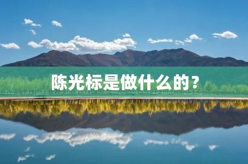 陈光标是做什么的？