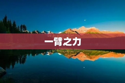 一臂之力:探寻人类力量的极限 一臂之力:探寻人类力量的极限