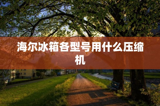 海尔冰箱各型号用什么压缩机