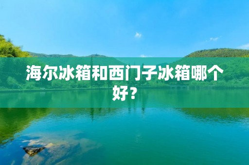 海尔冰箱和西门子冰箱哪个好？