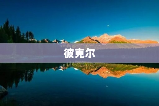 彼克尔:探索数字货币的未来 彼克尔:探索数字货币的未来