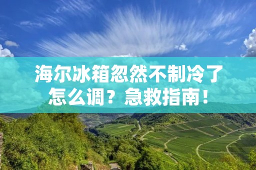 海尔冰箱忽然不制冷了怎么调？急救指南！