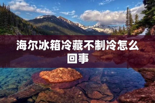海尔冰箱冷藏不制冷怎么回事：详细解析