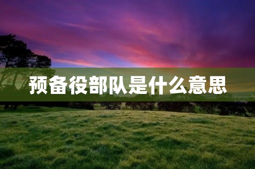 预备役部队是什么意思