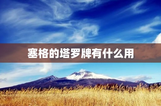 塞格的塔罗牌有什么用