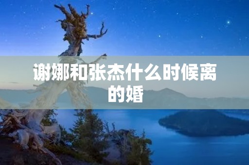 谢娜和张杰什么时候离的婚 谢娜和张杰什么时候离的婚