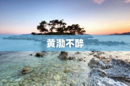 黄渤不醉：一个多才多艺的演员与他的人生态度