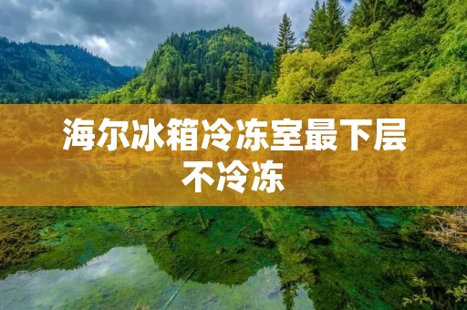 海尔冰箱冷冻室最下层不冷冻:问题及解决方法