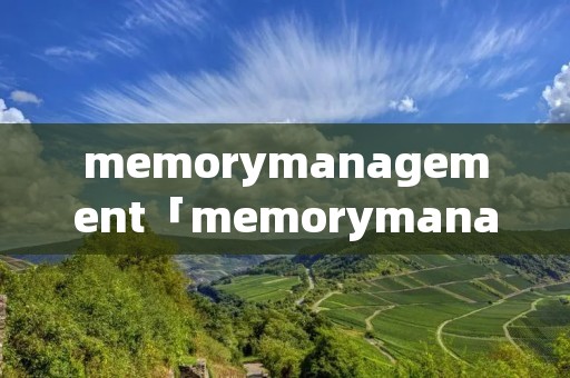 memorymanagement「memorymanagement蓝屏win10」