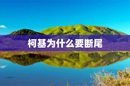 柯基为什么要断尾 柯基为什么要断尾
