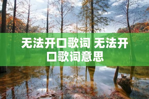 无法开口歌词 无法开口歌词意思