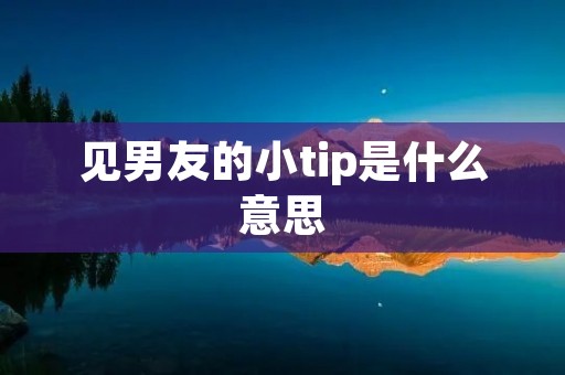 见男友的小tip是什么意思