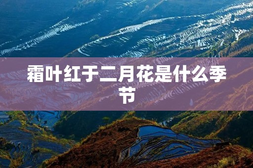 霜叶红于二月花是什么季节