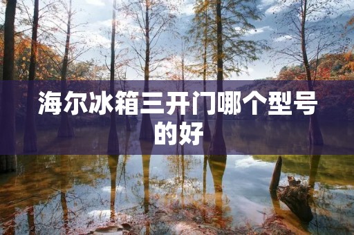海尔冰箱三开门哪个型号的好 海尔冰箱三开门哪个型号的好