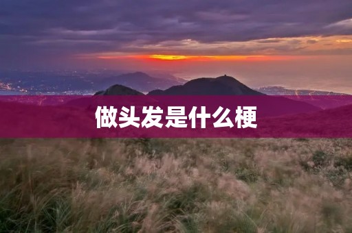 做头发是什么梗 做头发是什么梗
